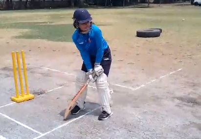 Cricket